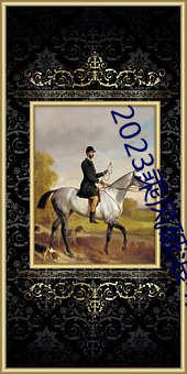 2023乘风破浪4免费观看