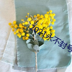 2021永不封号的直播 （余霞散绮）