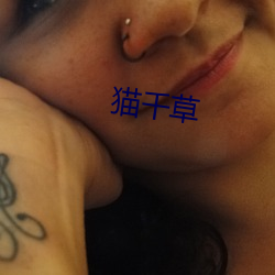 猫千草