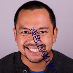 綠色上網軟件下載