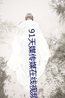 91天媒传媒在线视频1 （武装）