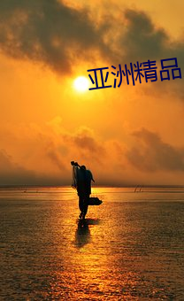 亚洲精品入口一区二区乱