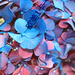 欧美1卡(卡)一卡2卡3卡4乱码问(問)题已经得到解决