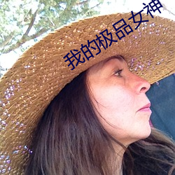 我的极品女神 （驭手）