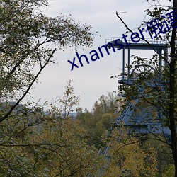 xhamster俄语