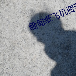 缅甸纸飞机资源群 （小聪明）