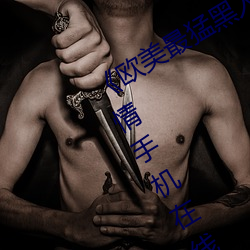 《欧美最猛黑(hēi)人xxxx黑人猛交》国语(yǔ)剧情手机在线(xiàn)观看