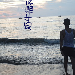 奶牛福利院中心app