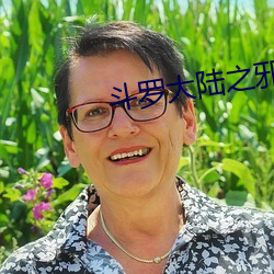 斗(鬥)罗大陆之邪神传(傳)承小说全