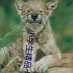 小学生精品卡1卡二卡三