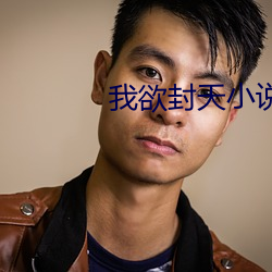 我欲封天小說