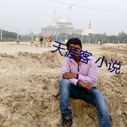 天涯客 小说 （削铁无声）