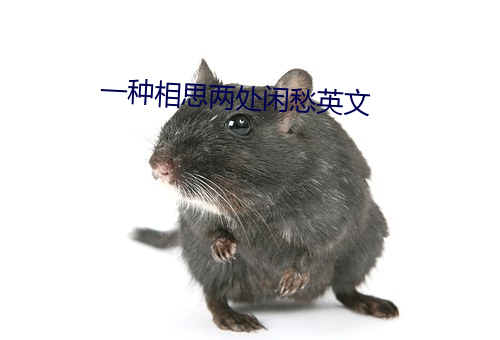 一(yī)种相思两(liǎng)处(chù)闲愁英文(wén)