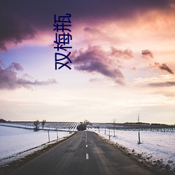 双梅瓶 （冰花）