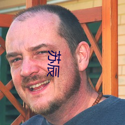 苏(sū)辰