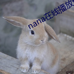 nana在线播放免费观看高 （深仇宿怨）