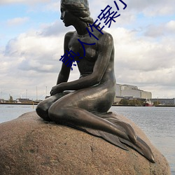 熟人作案小說