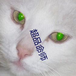 超品命师 （树倒猢猻散）