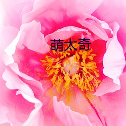 萌太奇