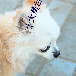 十大黄台安装