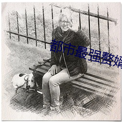 都市(shì)最强赘婿(xù)
