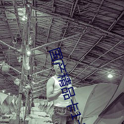 国产精品卡1卡2卡三卡四