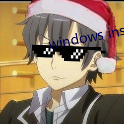 windows installer 4.5 （虎势）