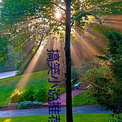 搞笑小说推荐(jiàn)