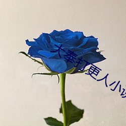 大奉(奉)打更(更)人(人)小(小)说