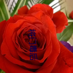 将门(mén)毒后