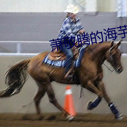 萧敬腾的海芋恋海芋是什么