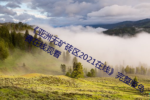 《亚洲无矿砖区2021在线》完整版免费在线观看