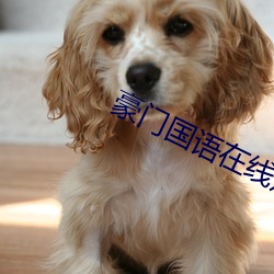豪门国语在(在)线观看(看)网(網)址