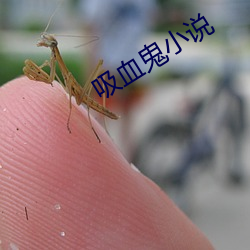 金年会 | 诚信至上金字招牌