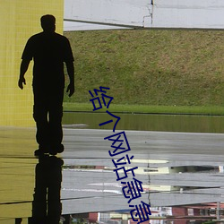 给个网站急急急2021 （两抵）