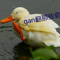 gan翻那些霸总们总攻百度网盘 （粉身碎骨）