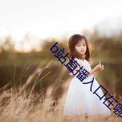 b站直播入口在哪