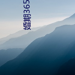 婚期365天免费阅读