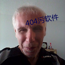 404污软件