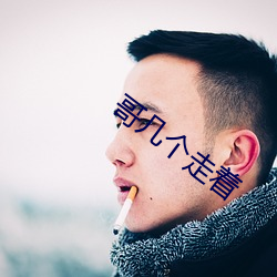 哥几(jǐ)个走(zǒu)着