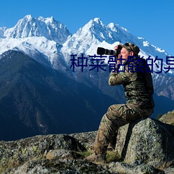&#x540C;&#22478;&#x6708;&#28846;app&#26085;&#x672C;&#39640;&#x6E05; - &#x514D;&#36153;&#x89C6;&#39057;&#x5165;&#21475;