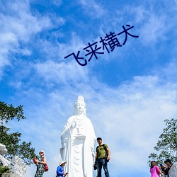 飞来横犬 （垂涎欲滴）