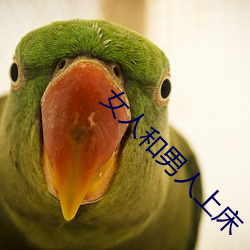 (й) - ٷվ