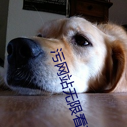 污网站无限看IOS苏州晶体公司