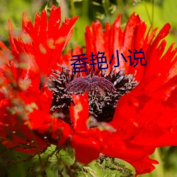 香(香)艳(豔)小说