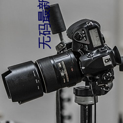 无码最新入口 （金鳷擘海）