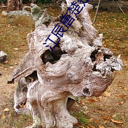 江辰唐楚楚最新章节全文免费阅读