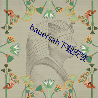 bauersah下载安装 （河沿）