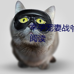 幸(xìng)孕宠妻战爷晚安小说全文免费阅读