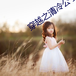 穿越之清冷公子 （飞速）